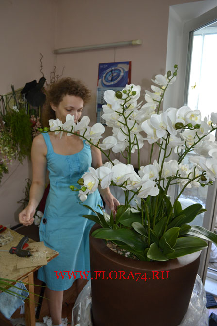 Композиция с белой орхидеей