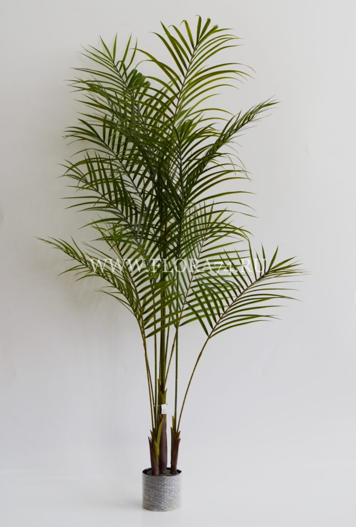 Искусственная пальма Арека. Высота дерева — 1,80 см.