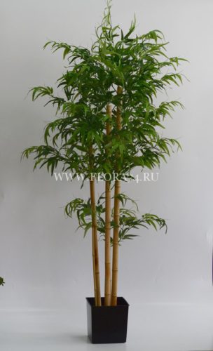 искусственное дерево, бамбук, оформление интерьера